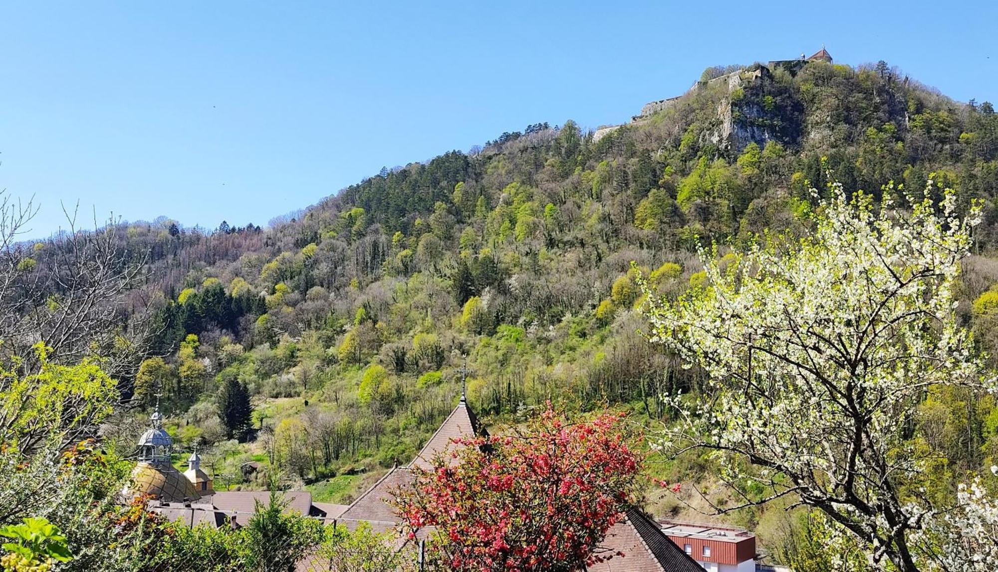 L'Aristoloche Apartment Salins-les-Bains Exterior foto